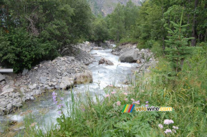 Une petite rivière près de notre lieu de pique-nique (2) (312x)