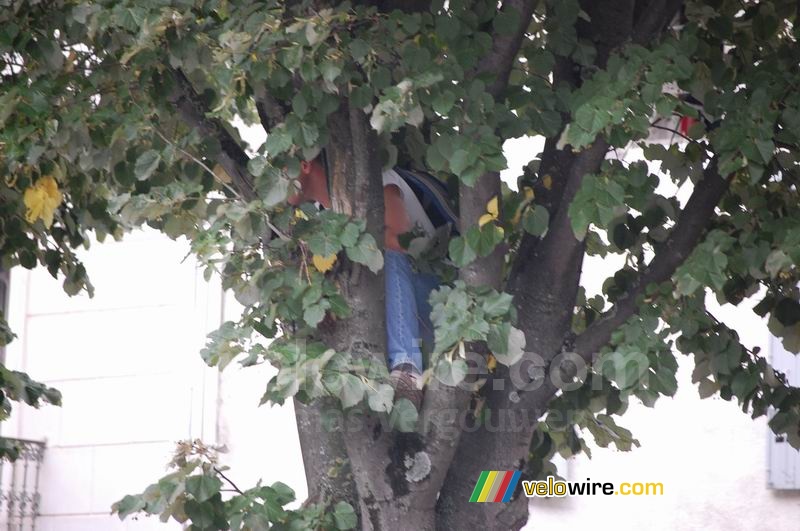 In Castres people even climb in the trees to see the Tour riders!!