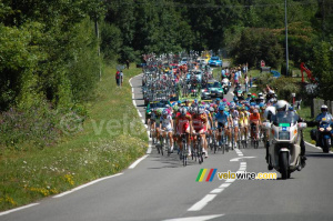 Le peloton suivi par les voitures des directeurs sportifs (490x)