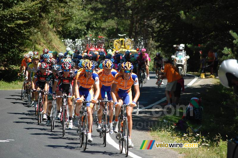 The pack on the Col de la Pierre-Saint-Martin