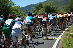 Une partie du peloton sur le Col de la Pierre-Saint-Martin (574x)