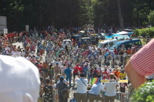 Le peloton à environ 6 km de l'arrivée (495x)
