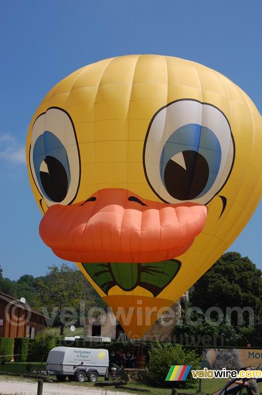 A duck hot air balloon in Cahors
