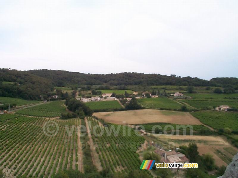 Wijnvelden in Vaison-la-Romaine