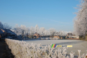 Givre dans un quartier de Bavel (343x)