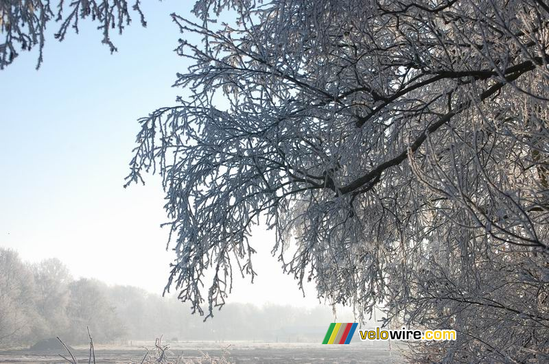 Een winters landschap