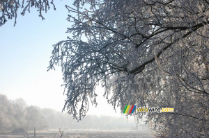 Paysage hivernal (442x)
