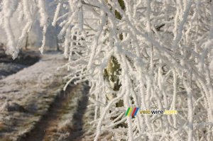 Chemin forestier hivernal (299x)