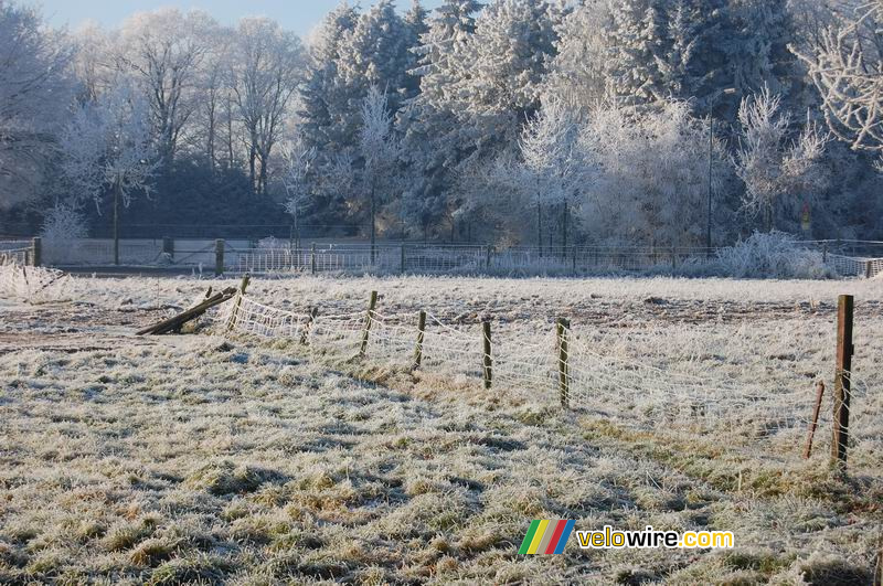 White frosted wires