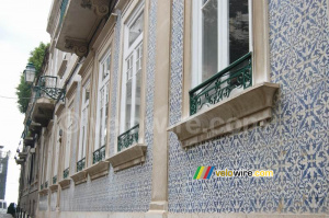 Mosaic pattern on a house (524x)