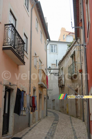 A street in Lisbon (2) (241x)