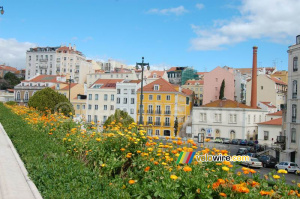 Colourful houses in the Rua de Sao Bento (396x)