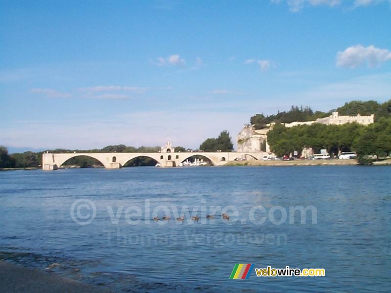 Le Pont d'Avignon en een groepje eenden