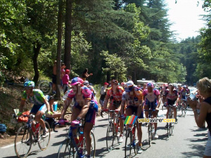 TDF 21/07/2002: The large group (311x)