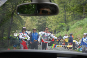 Les Basques se mettent même en plein milieu de la route ! (530x)