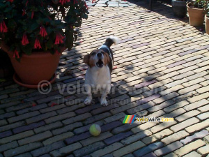 [The Netherlands] Skibby (338x)