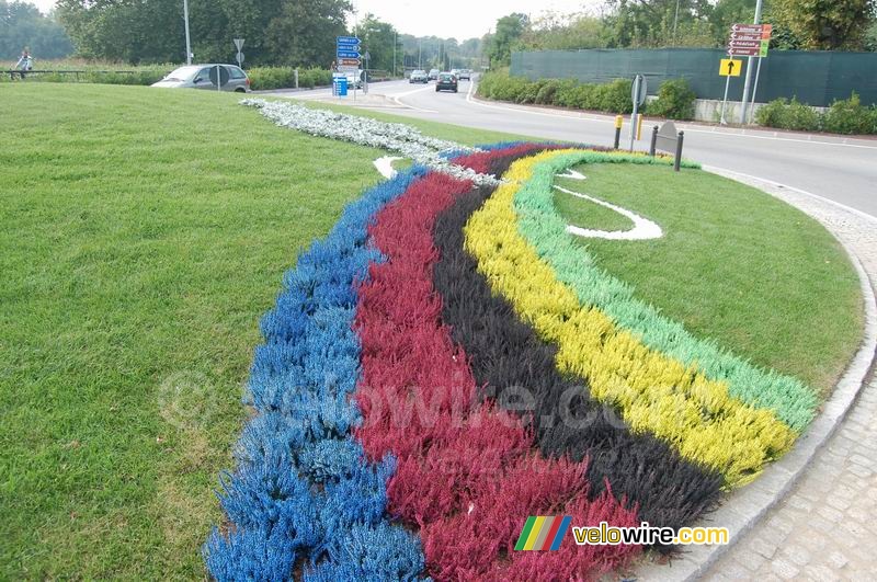 Regenboogdecoratie voor de Wereldkampioenschappen wielrennen (1)