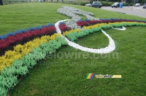Rainbow decoration for the cycling World Championships (2) (427x)