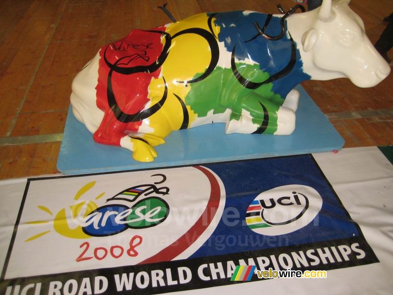 A cow in the colours of the World Championships