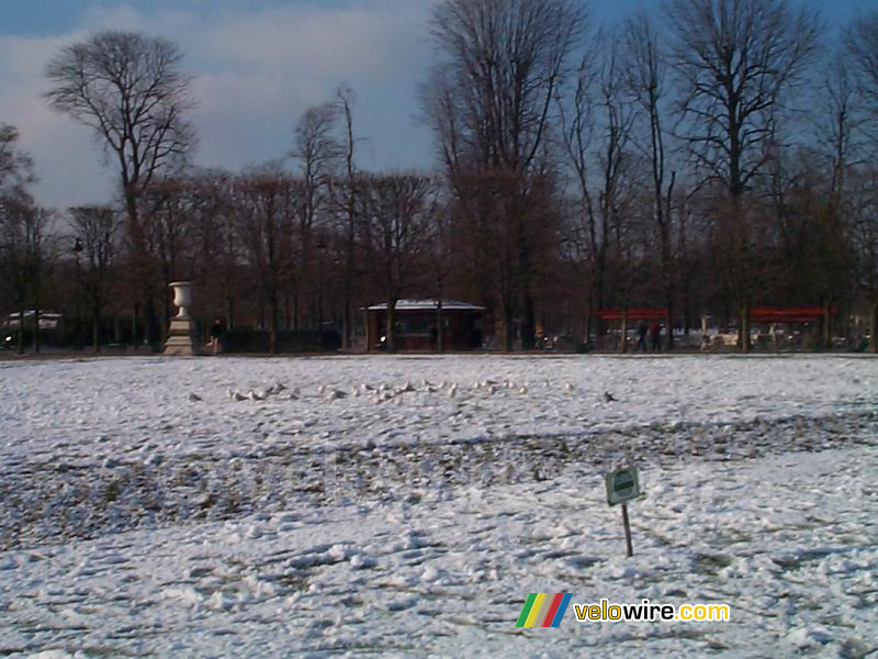 Meeuwen in de Jardins des Tuileries