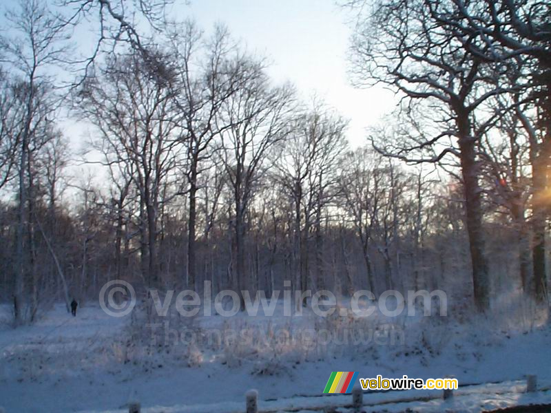 Het bos van Meudon