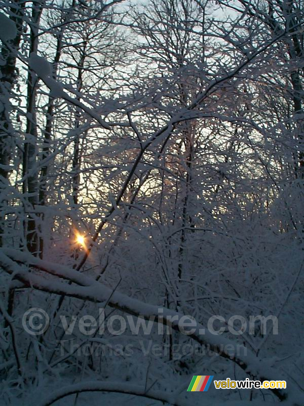 Zonsondergang in het bos van Meudon