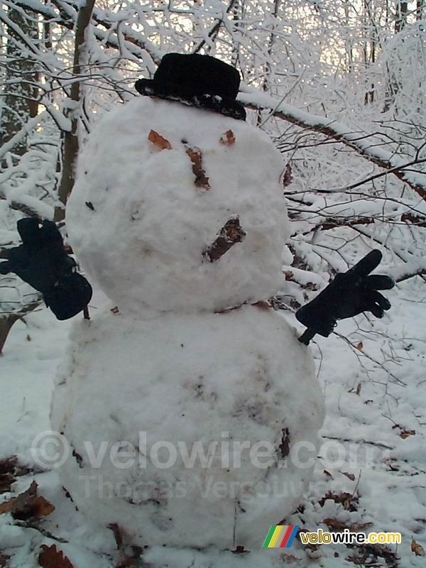 Onze sneeuwpop in het bos van Meudon