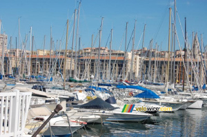 Le Vieux Port in Marseille (391x)