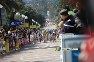 Le sprint massif à 100 mètres de l'arrivée à Porto-Vecchio (838x)