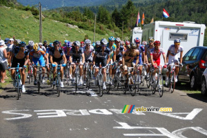 The peloton (423x)