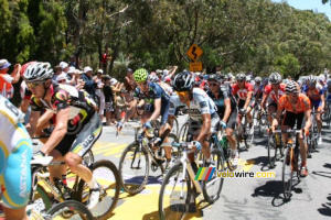 Matt Goss (HTC-Highroad) & the peloton (790x)