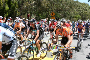 Cameron Meyer (Garmin-Cervélo) & Simon Gerrans (Team Sky) (420x)