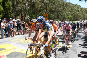 Mirko Selvaggi (Vacansoleil-DCM Pro Cycling Team) (921x)