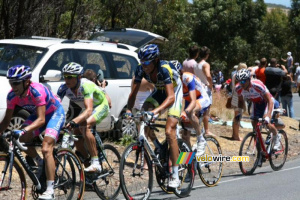 Mirko Selvaggi (Vacansoleil-DCM Pro Cycling Team) (2) (780x)