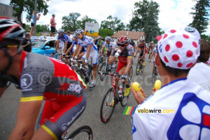 The peloton (4) (408x)