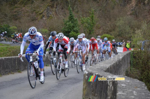 The peloton on the bridge of Saint-Fiacre (2) (522x)