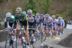 The peloton on the bridge of Saint-Fiacre (3) (550x)