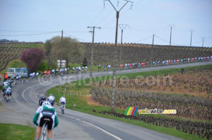 Le peloton en file indienne (558x)