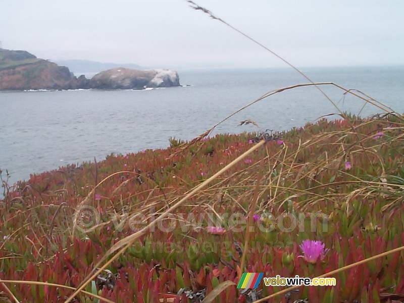 [San Francisco] - Het natuurgebied aan de andere kant van de Golden Gate Bridge
