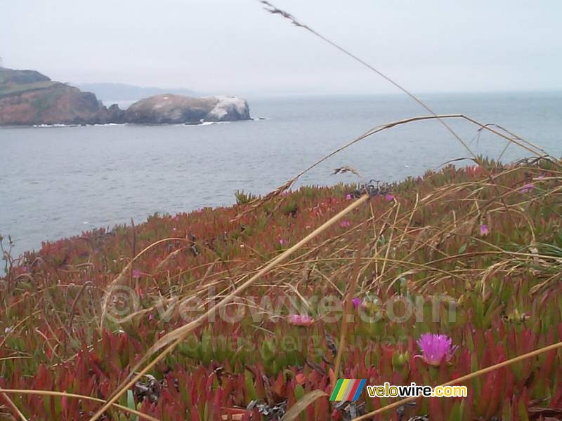 [San Francisco] - The nature area on the other side of the Golden Gate Bridge