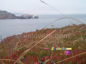 [San Francisco] - La vraie nature à l'autre côté du Golden Gate Bridge (630x)