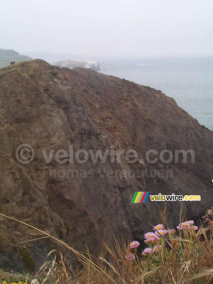 [San Francisco] - La vraie nature à l'autre côté du Golden Gate Bridge (525x)