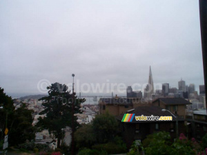 [San Francisco] (463x)