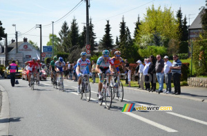 The leading group in the feeding zone (448x)