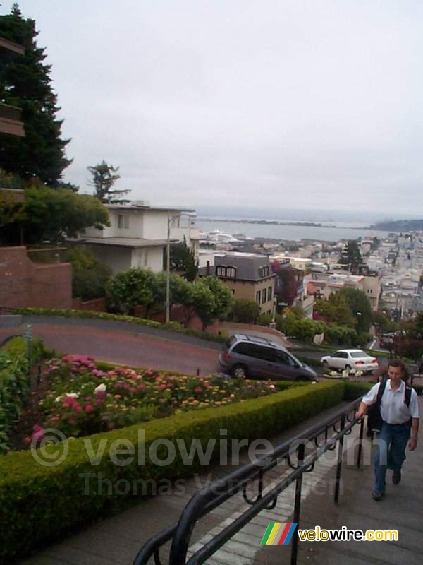 [San Francisco] - Lombard Street