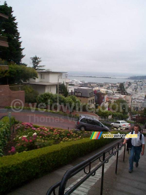 [San Francisco] - Lombard Street (504x)