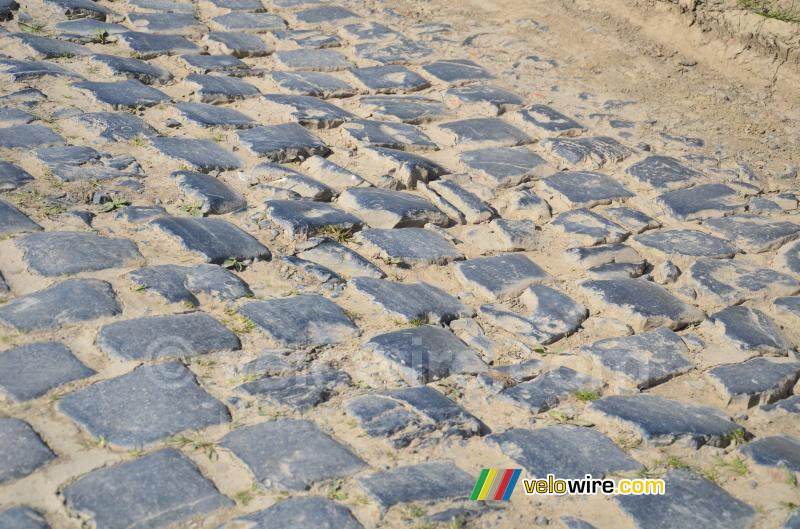 Cobbles!