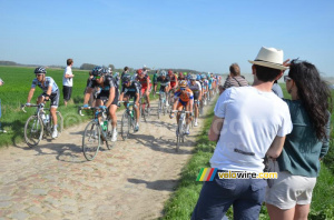 Le peloton sur les pavés (466x)