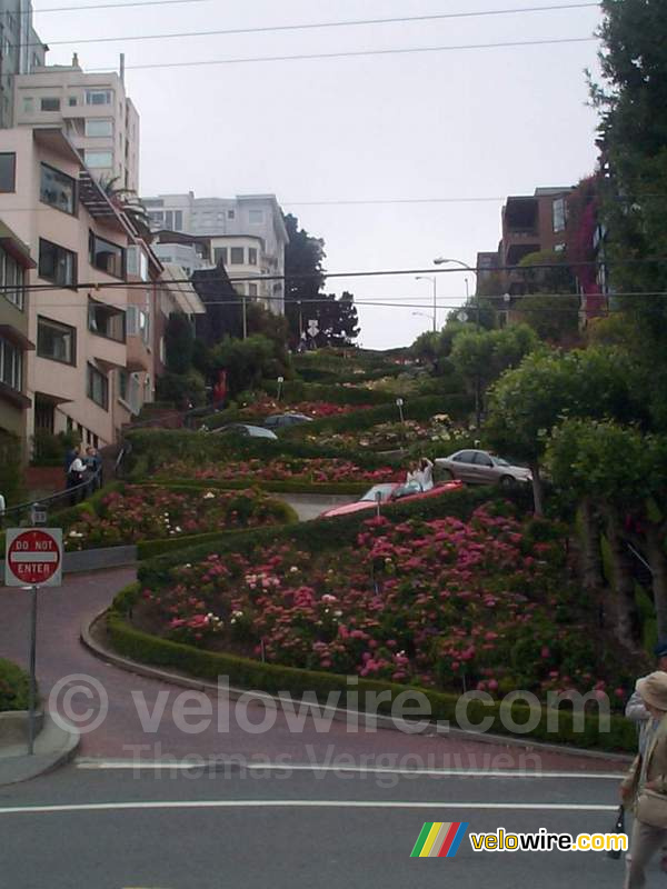 [San Francisco] - Lombard Street