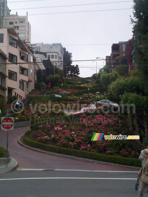 [San Francisco] - Lombard Street (473x)